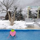 더힐링 이미지