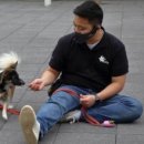 위풍댕댕 이미지