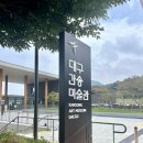 관인작은도서관 | [국내여행] 대구간송미술관 개관전 국보,보물전 여세동보 현장예매 및 관람후기