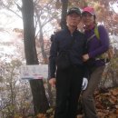 춘재