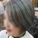라라엘 이미지