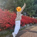 운중동행정복지센터 네이버블로그