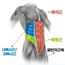 남녀노소 트레이닝 이미지