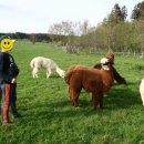 농막목장 이미지