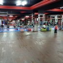 투혼복싱 이미지