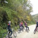 갈골농원 이미지