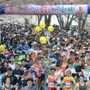 2023 대청호 벚꽃길 마라톤 대회 이미지