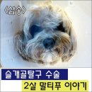 삼송사랑 동물의료센터 이미지