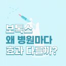 뉴페이스의원
