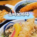소바노하나 이미지