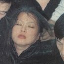 초롱별 이미지