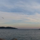 허브 펜션 이미지