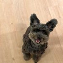 동물자유연대 부속 동물병원 이미지