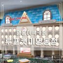 션샤인캣 | [리뷰] 요즘 겨울철 가기 좋은 이색카페 주말에 아이와 다녀온 루프캣미 명동점 솔직 후기