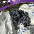 상안농장 이미지