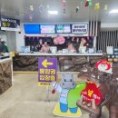 아라마루푸드코트