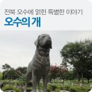 오수1 이미지