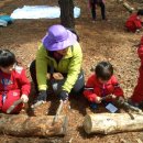 용인자연휴양림 숲속체험관 이미지