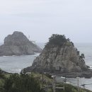 우암동 도시숲 이미지