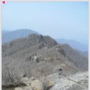 한국 100대명산 백운산(광양) 해발 1.218m 이미지