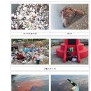 지난해 해양쓰레기 국민신고 1488건으로 전년대비 4배 높아져 이미지