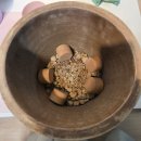 펫더헤븐 | 정보) 대구근교 반려동물 화장터 성주 펫헤븐 + 반려동물 화분장 후기