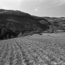 늑구2리마을회관 이미지