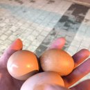 7080잔치국수 이미지