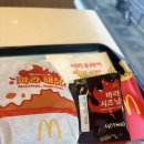 도날드치킨 | 맥도날드 신상 ‘마라도날드’ — 얼얼한 마라맛 버거 솔직 후기