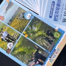 삿갓펜션 | [청산도여행] 청산도 바다마루 펜션 추천🏝️ 완도치유페스타🎉 청산도 슬로걷기🌼