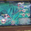 화원 자연휴양림 산책 / 용문사 뒤산 산행 ( 달성군 화원읍 ) 이미지