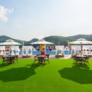 킹덤키즈-M 이미지