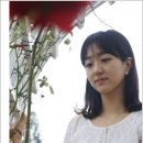 꽃잎하나
