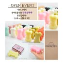 아지애견 이미지