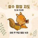 (주)노투스팜 | 2026년 5월 3주차 성수 팝업 지도｜주요 팝업 14개 포함 성수 62개 팝업 총정리