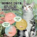 펫허그 네이버블로그