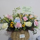 하상곡 Daum카페