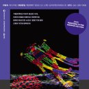 홍성현의 초벌비 <수호신 골매기> 이미지