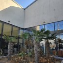 경산 하양비소-11 | 경산하양카페 하양맛집 투어 후 핸즈커피 하양점 식후 땡 어때요