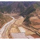 노루메기 이미지