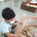 마한관 | 익산 액션 하우스 동물 먹이주기 체험 익산 가볼만한곳