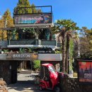 경화국수 | 진해 방콕산장 태국음식 솔직후기🍜 / 경화역 맛집 내돈내산 방문