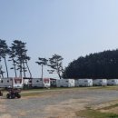 블루오션리조트홀리데이파크 이미지