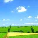 생곡리농장 이미지