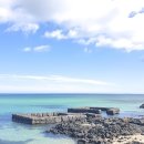 라인댄스 중급B 이미지