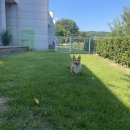 저스트민박 | 휴가 계획! 그리고 지난 휴가 돌이켜보기 (Feat. 영이네 민박, 임실 버블 호텔 저스트 글램핑, 여름 캠핑)