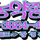 대동농약종묘사 티스토리