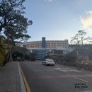 무학로-1 | 대구 기념일 장소 추천: 호텔수성 포시즌스에서 식사하고 수영장 인생샷 건지기