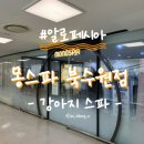 몽스파 | [알로페시아] 몽스파 강아지 목욕 내돈내산 후기
