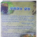 남산가든 Daum카페